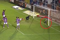 A fost gol sau n-a fost? Arădenii, Mircea Rednic și 11.000 de oameni au „explodat”! Fază la limită la UTA - Rapid, ce a decis Feșnic