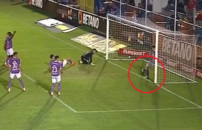A fost gol sau n-a fost? Arădenii, Mircea Rednic și 11.000 de oameni au „explodat”! Fază la limită la UTA - Rapid, ce a decis Feșnic