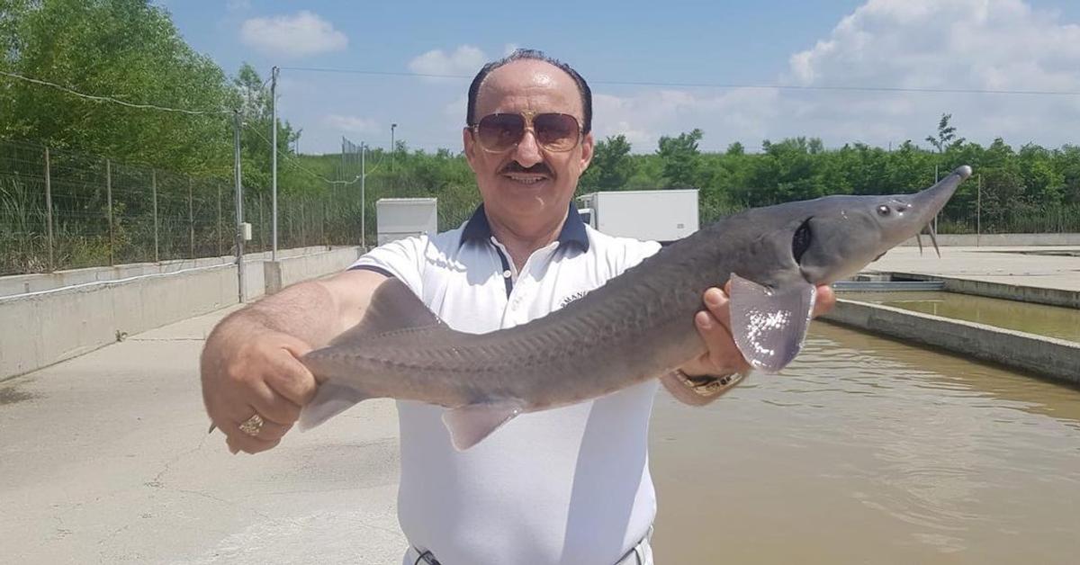 Îl recunoști? Fostul patron al Rapidului a sărbătorit în Giulești victoria cu Dinamo: „Vreau să îi mulțumesc domnului Șucu”