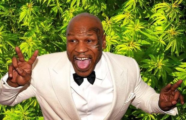 Mike Tyson are o nouă afacere: o cultură de cannabis de 1.618.743 metri pătrați!