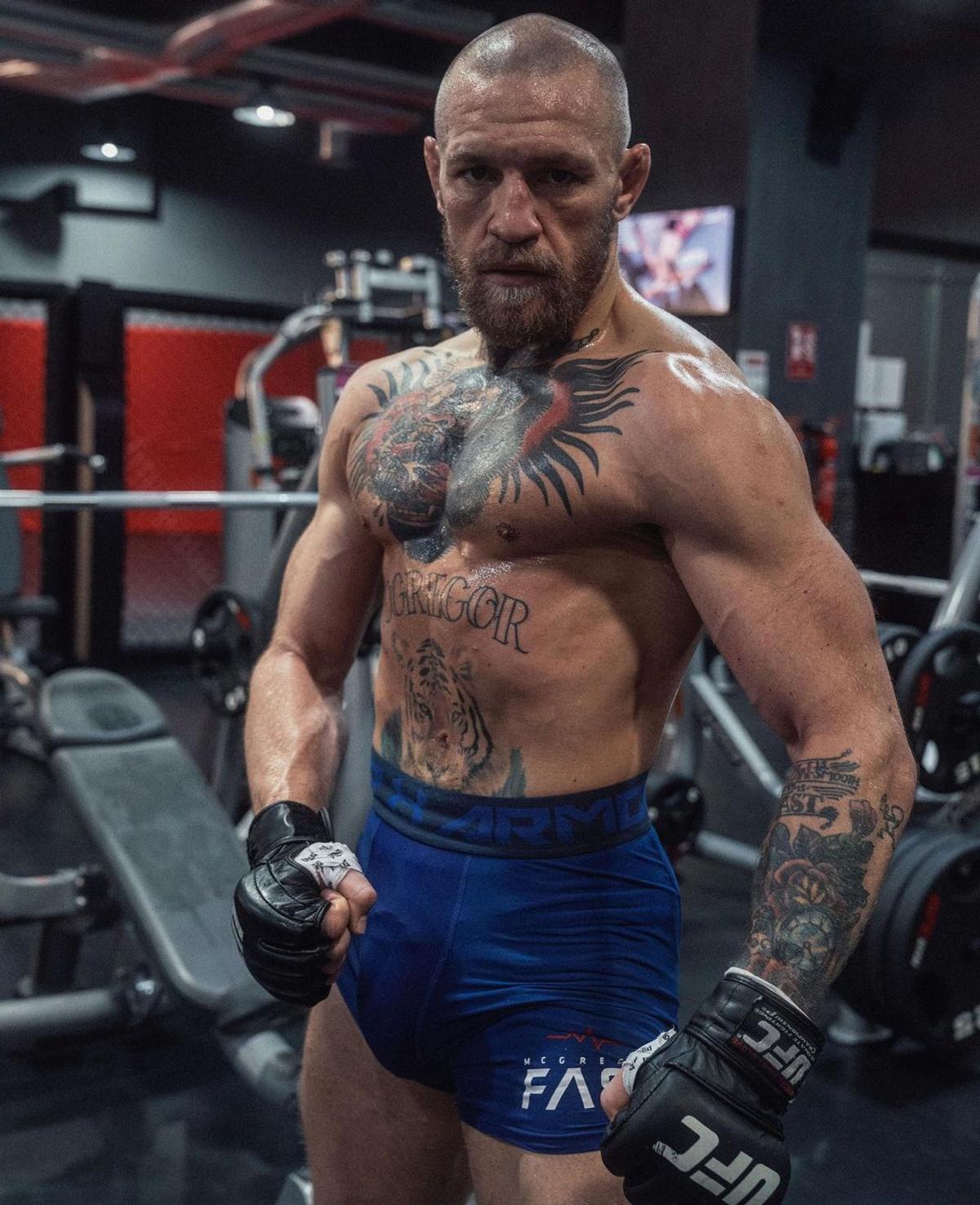 Conor McGregor - evergreen