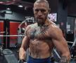 Conor McGregor - evergreen