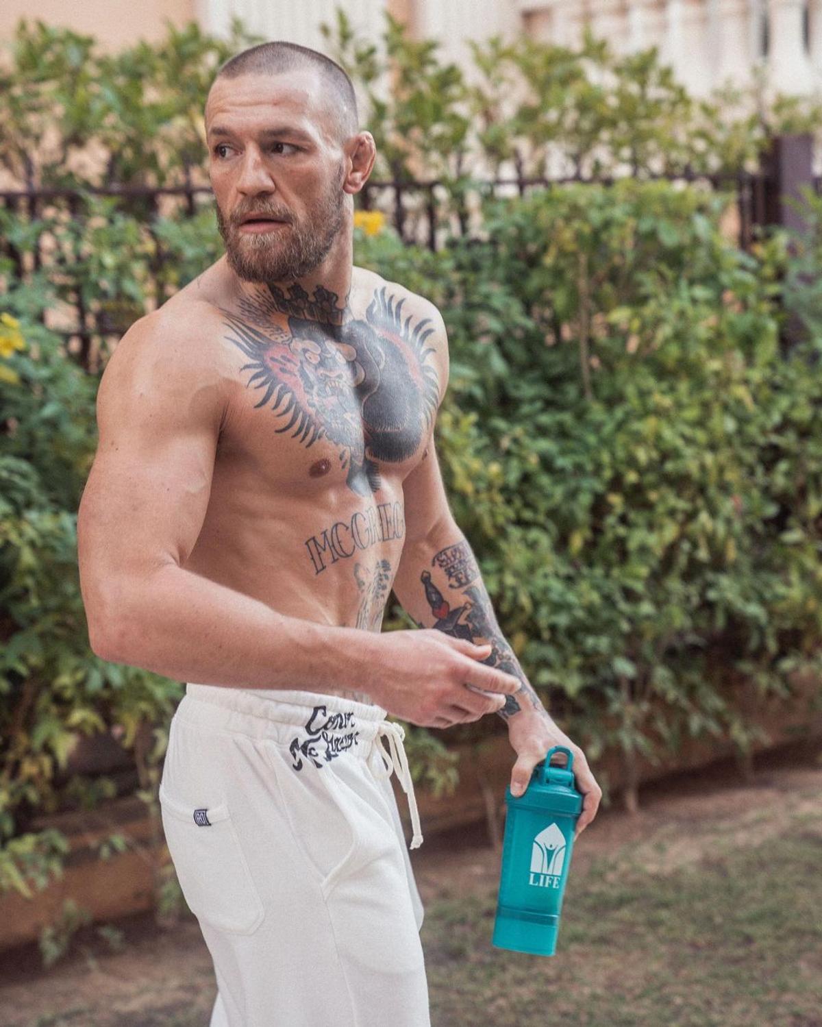 Conor McGregor - evergreen