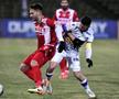 FC Argeș - Dinamo / Sursă foto: Cristi Preda (GSP)