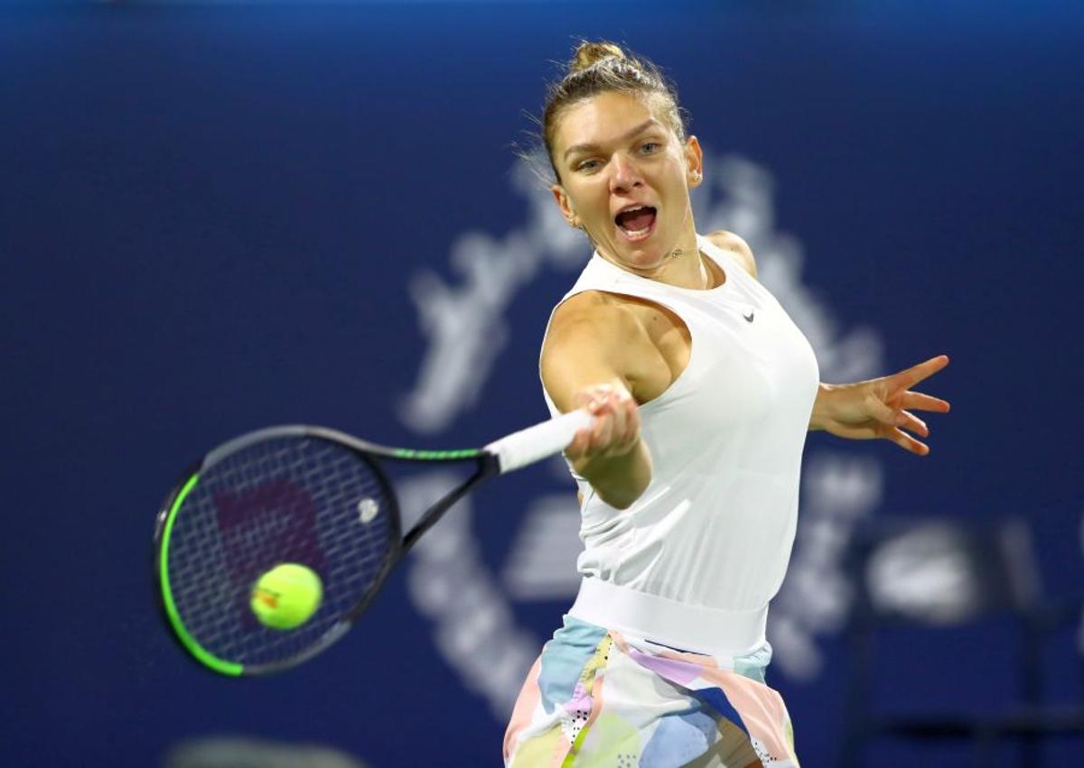 Halep - Brady