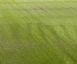 Arena Națională, cu două ore înainte de Rapid - Dinamo, etapa 28 + lojile celor două echipe