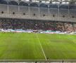 Gazonul pe Arena Națională, după Rapid - Dinamo/ foto: Adrian Duță (GSP)