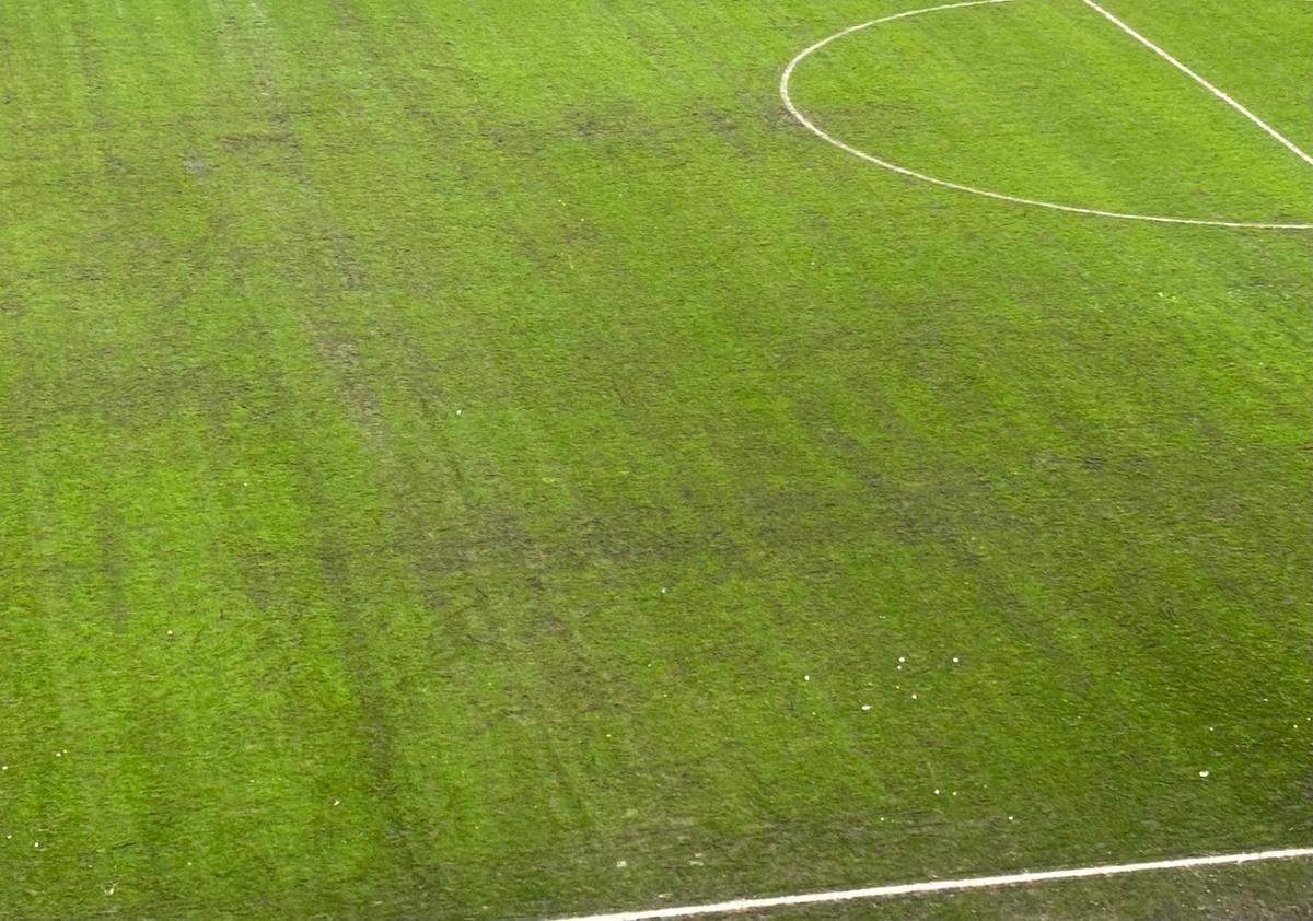 După Rapid - Dinamo, dezastrul » Așa arată gazonul Arenei Naționale înainte de FCSB - Metaloglobus