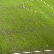 Gazonul pe Arena Națională, după Rapid - Dinamo/ foto: Adrian Duță (GSP)