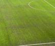 Gazonul pe Arena Națională, după Rapid - Dinamo/ foto: Adrian Duță (GSP)