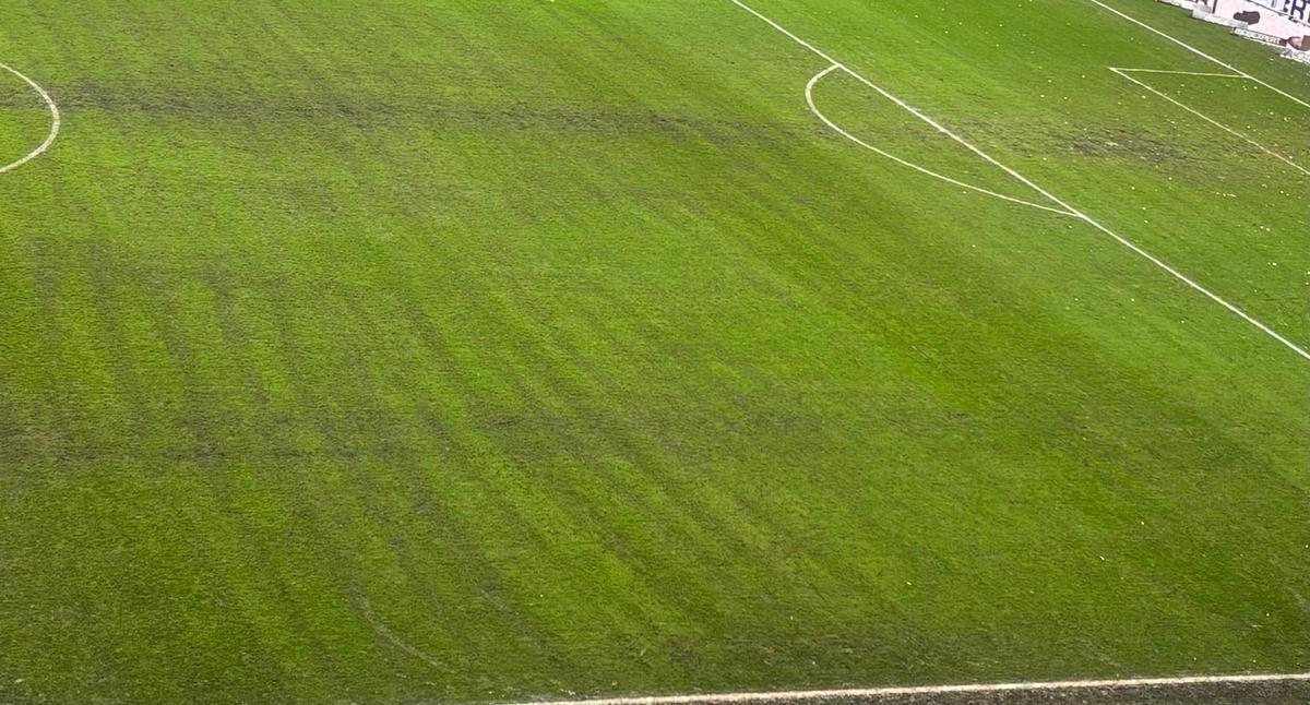 Gazonul pe Arena Națională, după Rapid - Dinamo