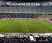 Gazonul pe Arena Națională, după Rapid - Dinamo/ foto: Adrian Duță (GSP)