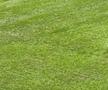 Rapid - Dinamo, imagini înaintea derby-ului din etapa 28