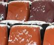 Rapid - Dinamo, imagini înaintea derby-ului din etapa 28