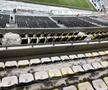 Arena Națională, cu două ore înainte de Rapid - Dinamo, etapa 28 + lojile celor două echipe