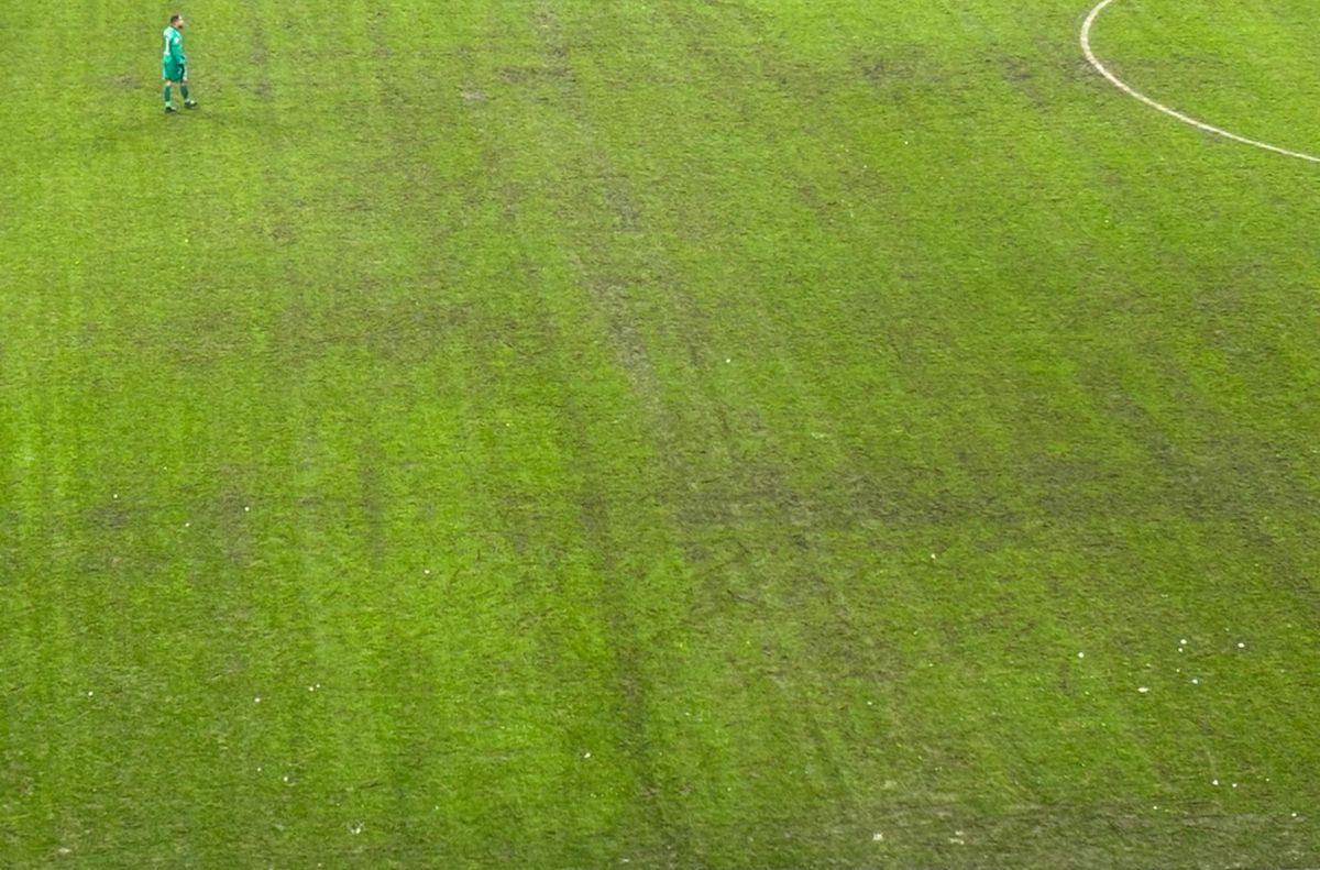 După Rapid - Dinamo, dezastrul » Așa arată gazonul Arenei Naționale înainte de FCSB - Metaloglobus