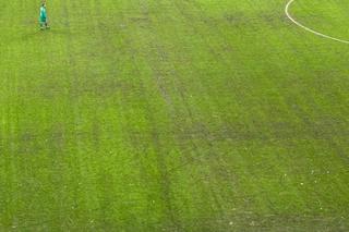 După Rapid - Dinamo, dezastrul » Așa arată gazonul Arenei Naționale înainte de FCSB - Metaloglobus