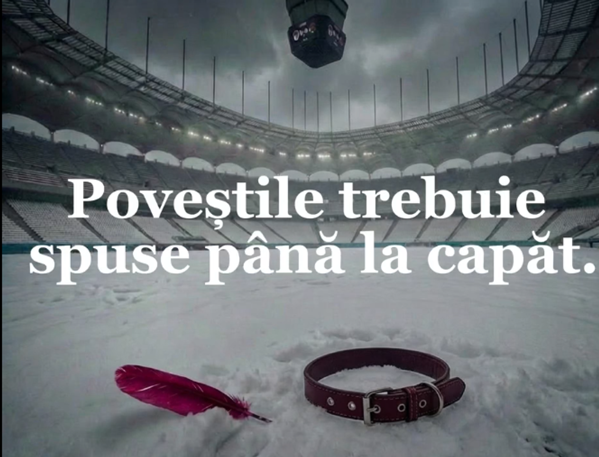 „Chiar dacă știm că nu a fost pană de vultur” » Fanii rapidiști au dat replica usturătoare pentru Dinamo