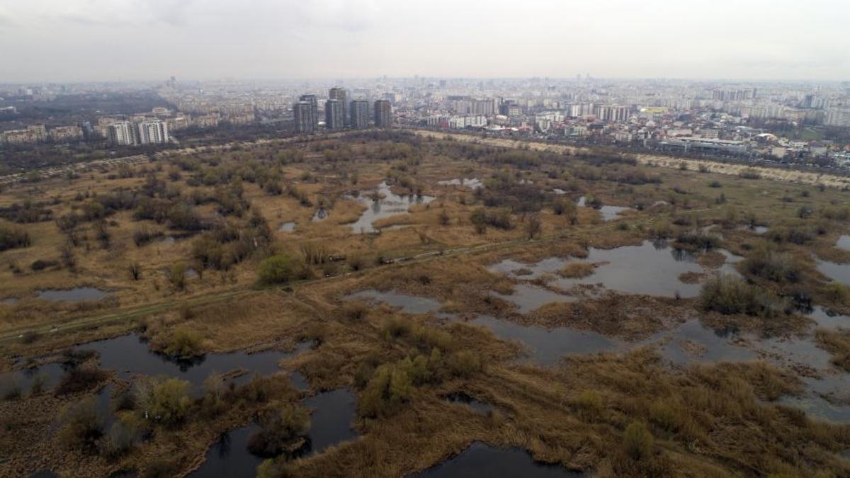 Gigel Enache a impresionat cititorii Gazetei » Suma donată pentru puștiul de 14 ani, născut și crescut în Delta Văcărești