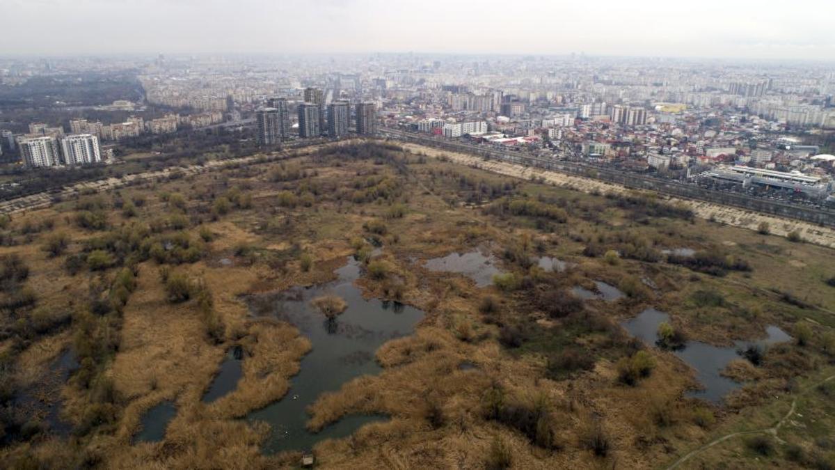 Gigel Enache a impresionat cititorii Gazetei » Suma donată pentru puștiul de 14 ani, născut și crescut în Delta Văcărești