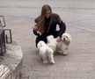 Imagini postate de Aleksandra, iubita lui Dujmovic, din Constanța