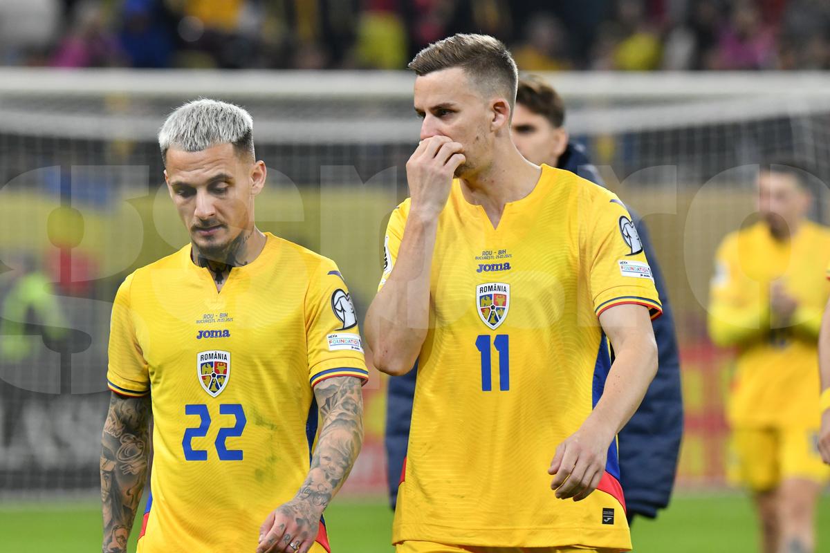 Ce s-a întâmplat pe gazon, imediat după România - Bosnia