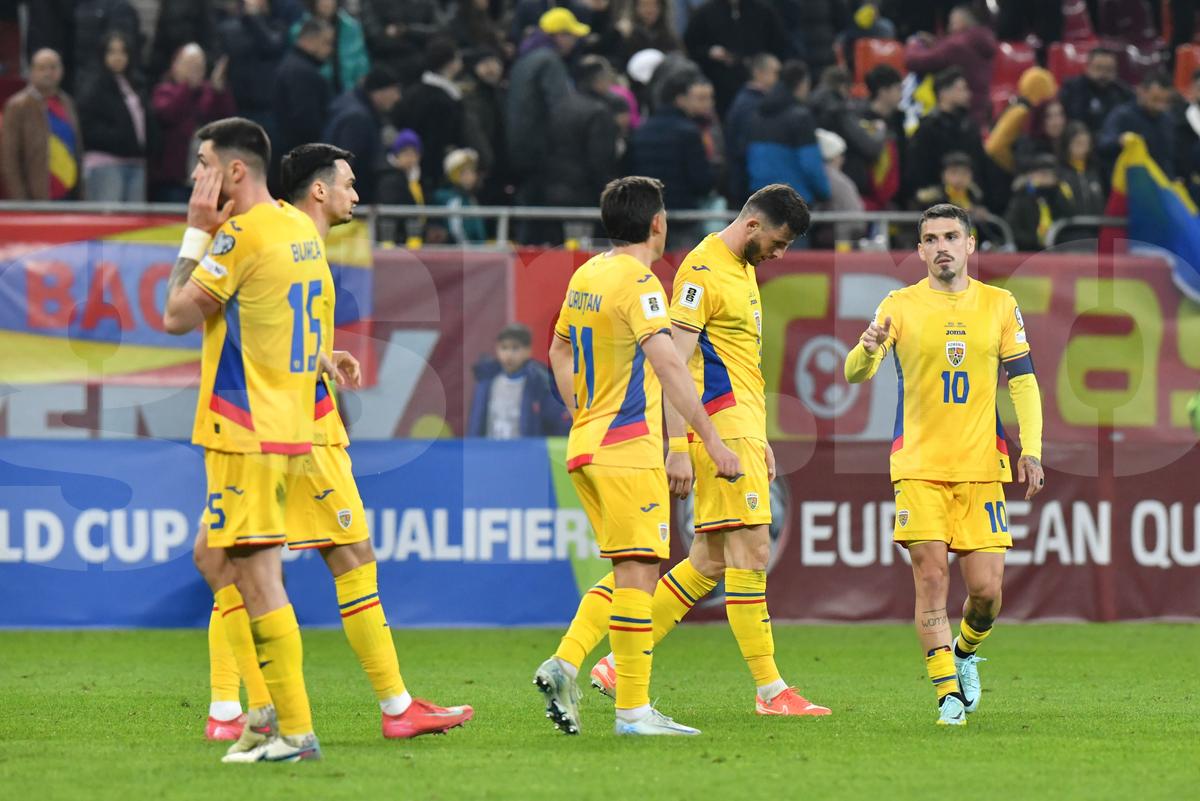 Ce s-a întâmplat pe gazon, imediat după România - Bosnia