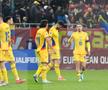 Ce s-a întâmplat pe gazon, imediat după România - Bosnia