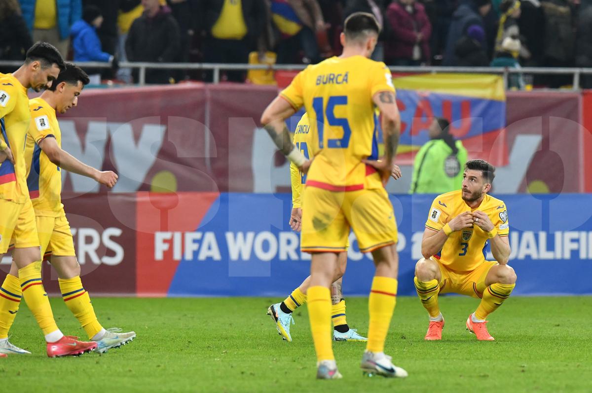 Ce s-a întâmplat pe gazon, imediat după România - Bosnia