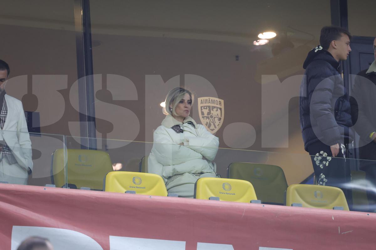 Kopic, Nicolescu și familia Șucu la România - Bosnia