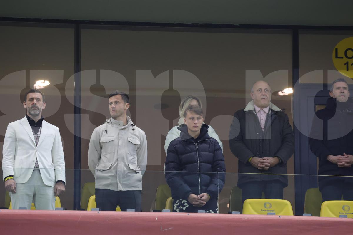 Imaginea serii pe Arena Națională » Rivalii din București, împreună la România - Bosnia