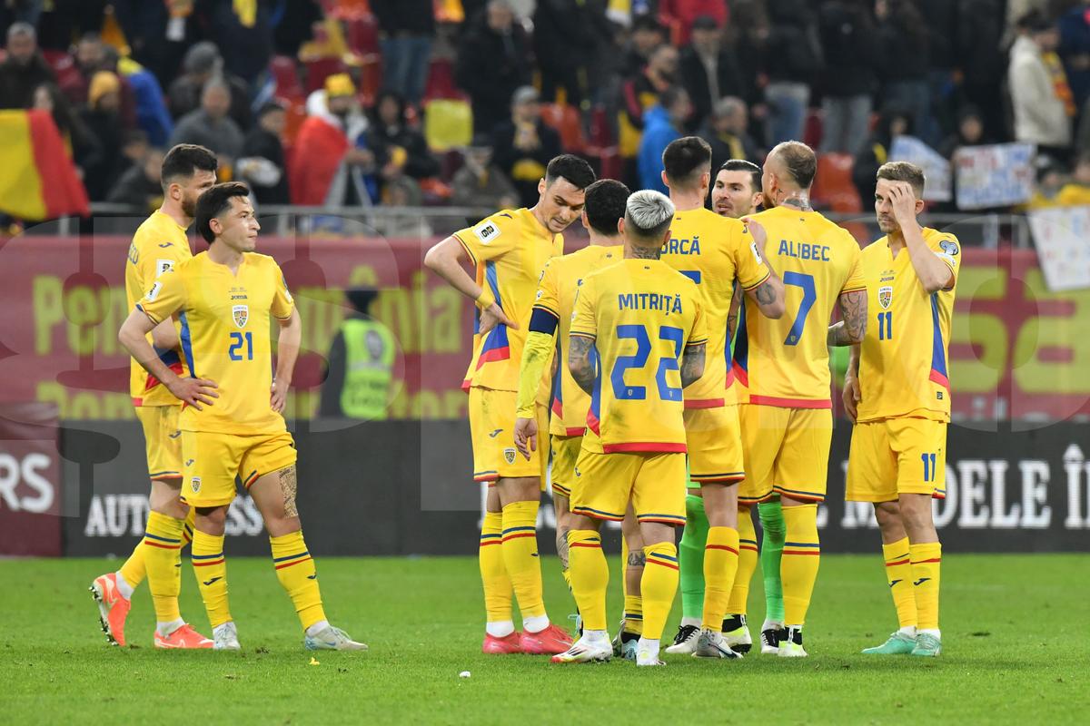 Ce s-a întâmplat pe gazon, imediat după România - Bosnia