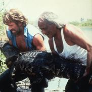 Chuck Norris