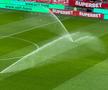 Dinamo - Universitatea Craiova, imagini de la încălzire