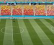 Cum arată gazonul de pe Arena Națională înaintea duelului decisiv Austria - Ucraina » Mesajul administratorilor stadionului