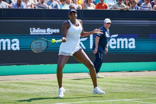Venus Williams în acțiune pe iarbă FOTO Imago Images