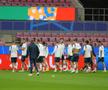 Antrenament oficial România, înaintea meciului cu Belgia FOTO Andrei Crăițoiu (GSP)