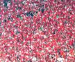 Polonia - Austria, Euro 2024 / 21.06.2024