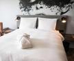 „Tricolorii” vor sta la Koln la un hotel unde camera costă 350 de euro pe noapte!