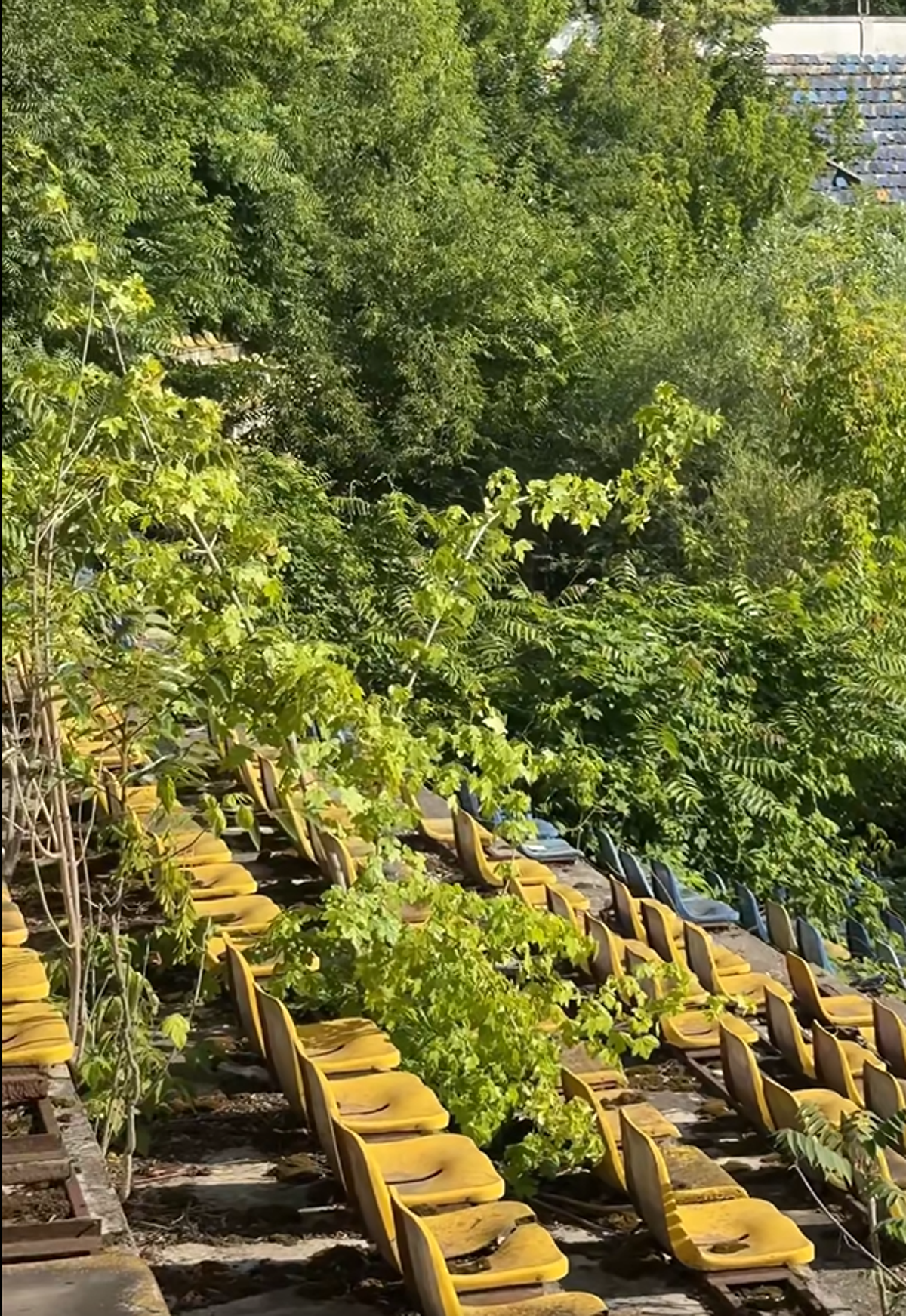 Stadionul din Bacău pe 19 iunie 2025