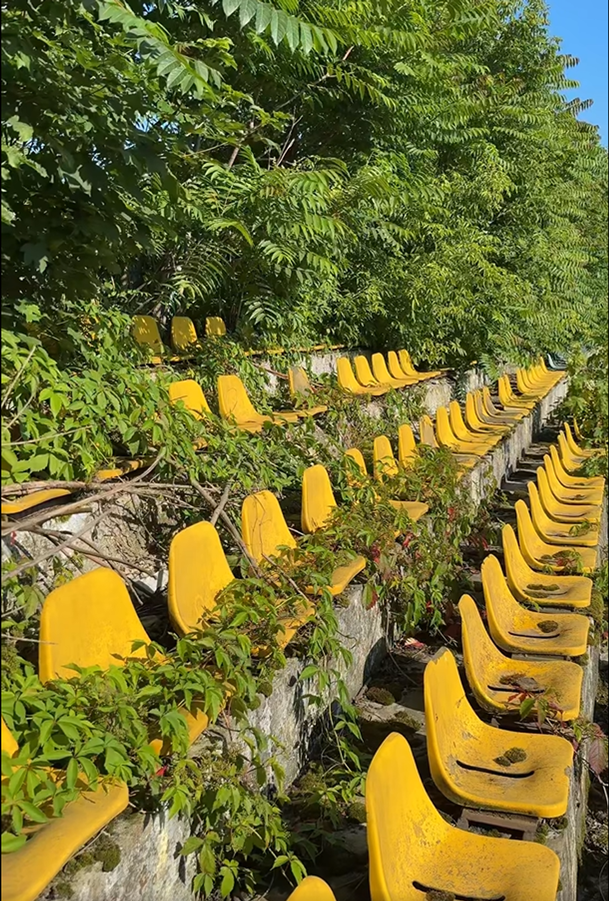 Stadionul din Bacău pe 19 iunie 2025