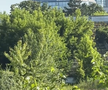 Stadionul din Bacău pe 19 iunie 2025