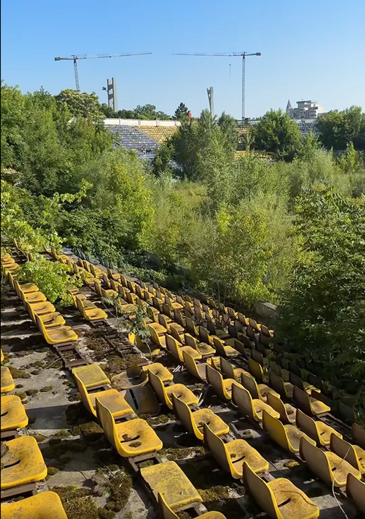 Stadionul din Bacău pe 19 iunie 2025