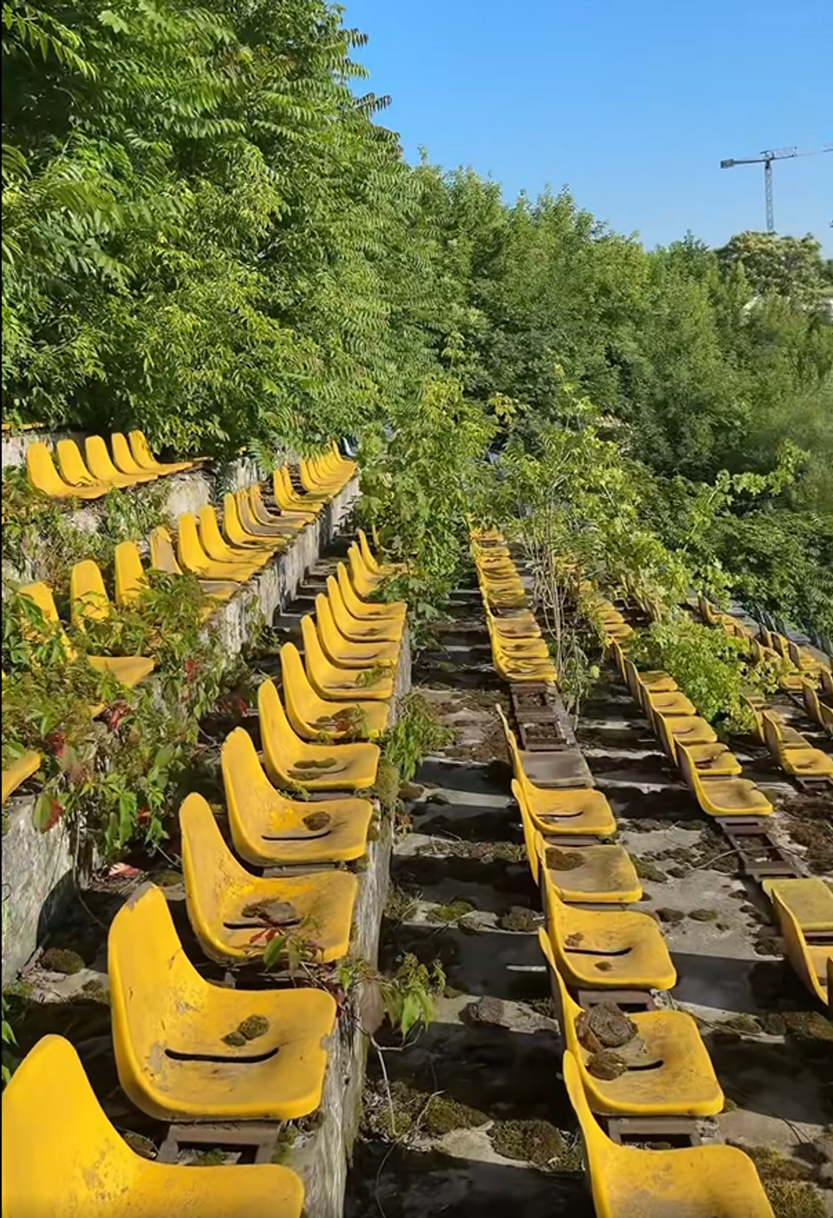 Stadionul din Bacău pe 19 iunie 2025