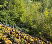 Stadionul din Bacău pe 19 iunie 2025
