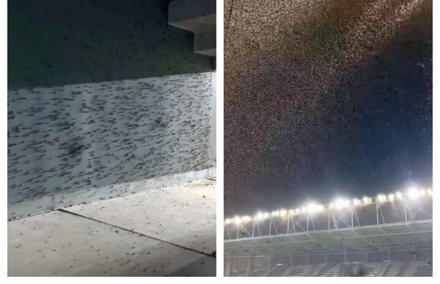 Sold-out, dar o mare problemă la Olanda - România în semifinalele Euro U19: „Nu există soluții”
