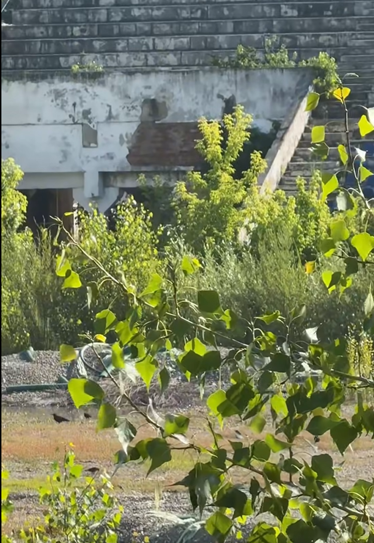 Stadionul din Bacău pe 19 iunie 2025