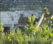 Stadionul din Bacău pe 19 iunie 2025