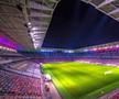 Stadionul Stelei a fost deja inaugurat. FOTO: CNI