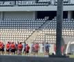 A intervenit de la Cluj pe subiectul „FCSB în Ghencea”: „Îi înțeleg, am trecut și noi prin asta”